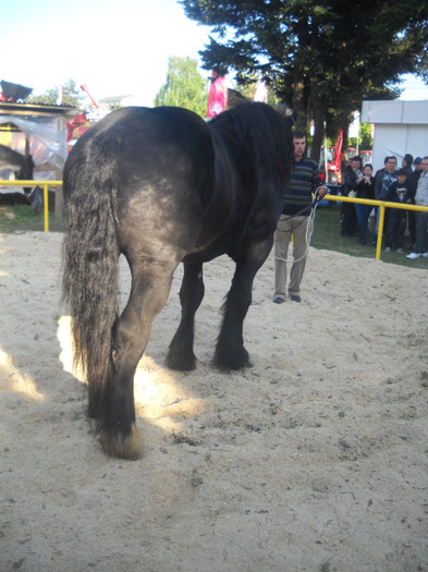 Picture 210 - EXPO AGRARIA 2011