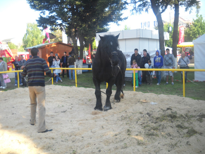 Picture 211 - EXPO AGRARIA 2011