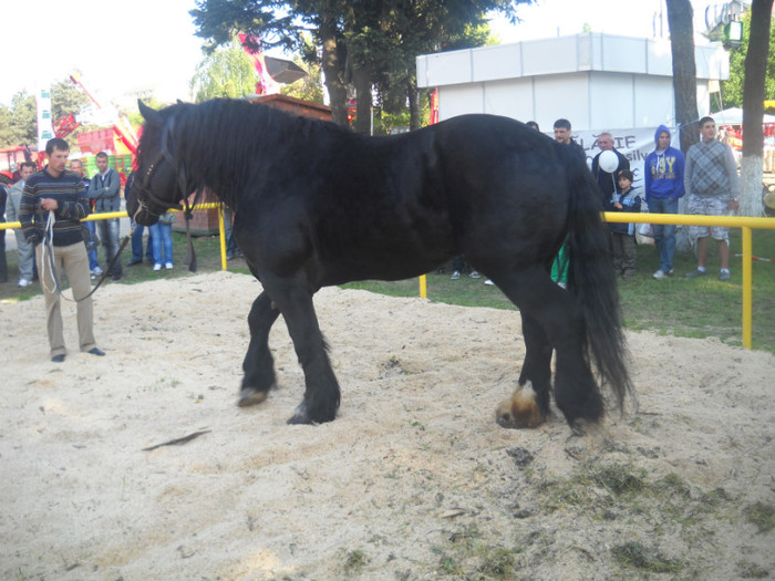 Picture 213 - EXPO AGRARIA 2011