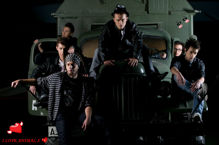 love animal x - Animal X