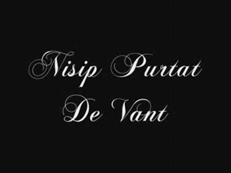 animal-x--nisip-purtat-de-vant[1]