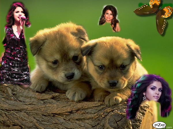 pizap.com10.74481488298624751330585156296 - a SELL