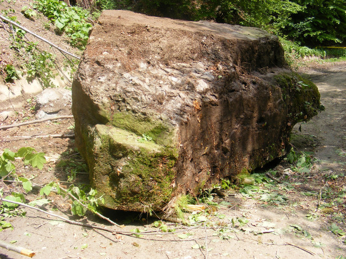 in mijlocul drumului - Peisaje de munte