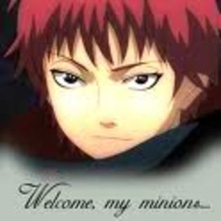 sasori - sasori