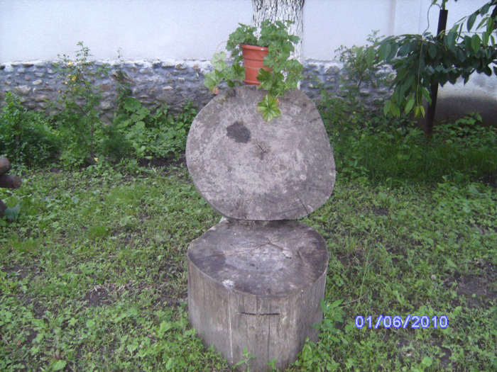 BILD5398