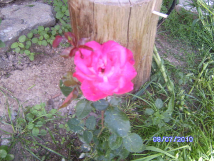 BILD5890