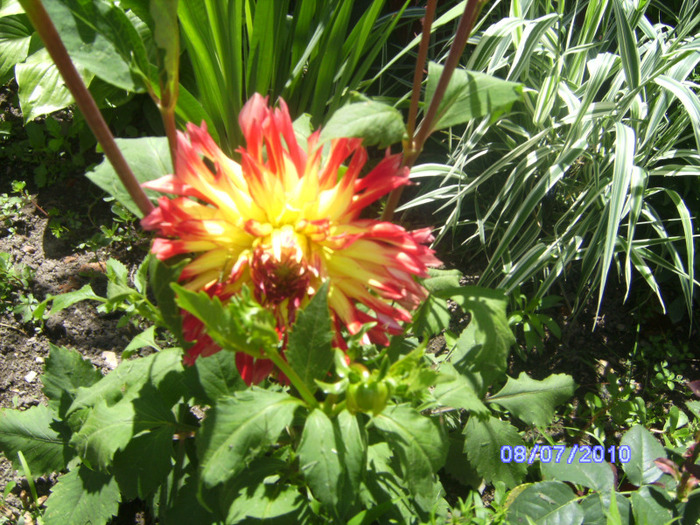 BILD5893