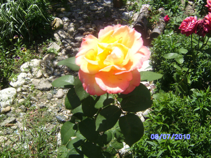BILD5897