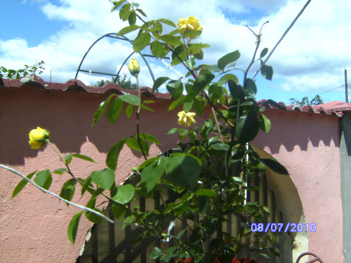 BILD5913
