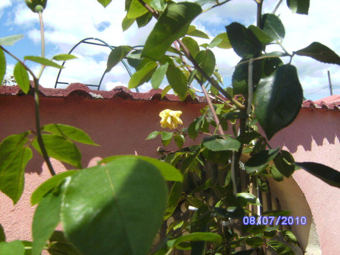 BILD5915
