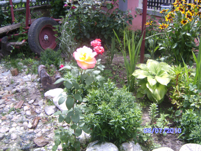 BILD5931
