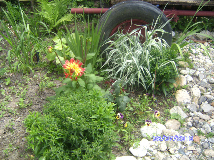 BILD5937