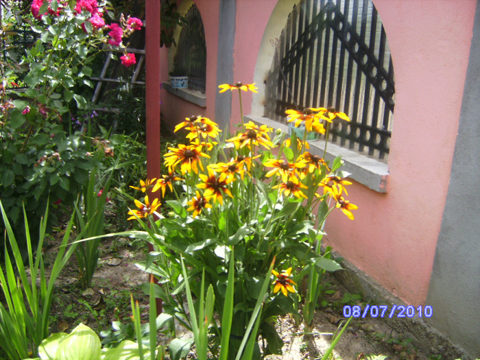 BILD5939