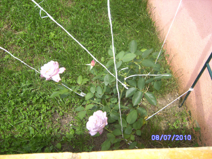 BILD5953