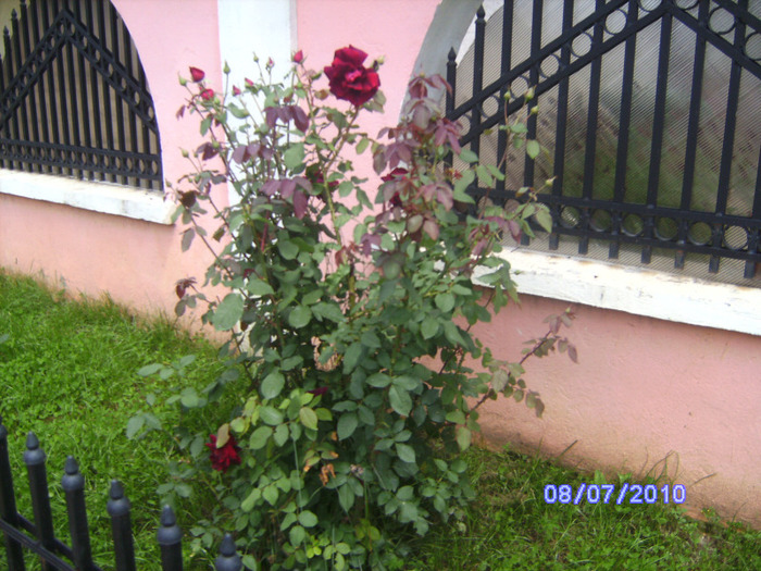 BILD5957