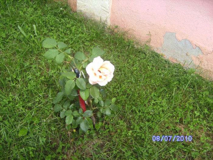 BILD5964