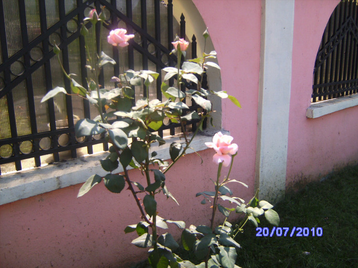 BILD6157