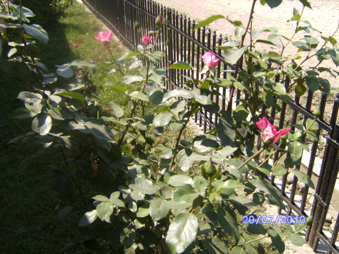 BILD6158
