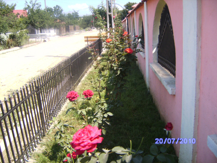 BILD6164