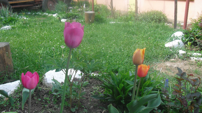 CIMG0445
