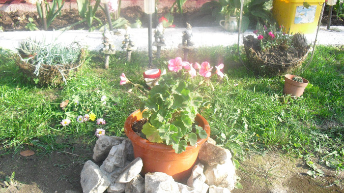 CIMG0463