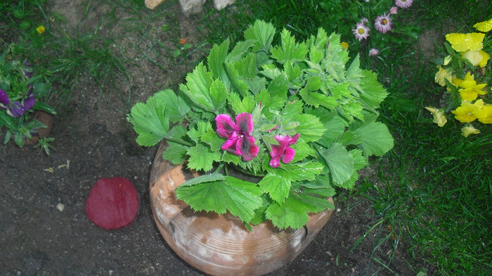 CIMG0656