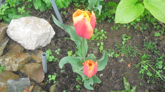 CIMG0676