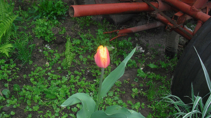 CIMG0677