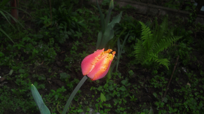 CIMG0678
