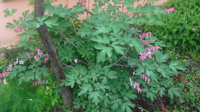 CIMG0693