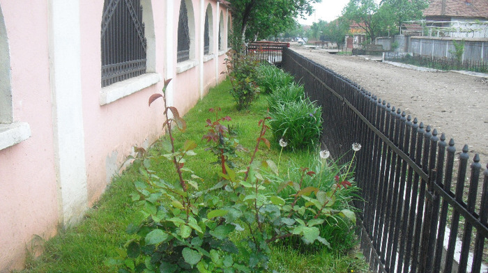 CIMG0725