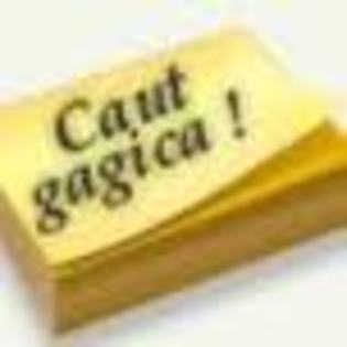 fdddddddddddddddddddddddsss