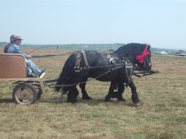  - Expo Bucovina-1Mai 2011