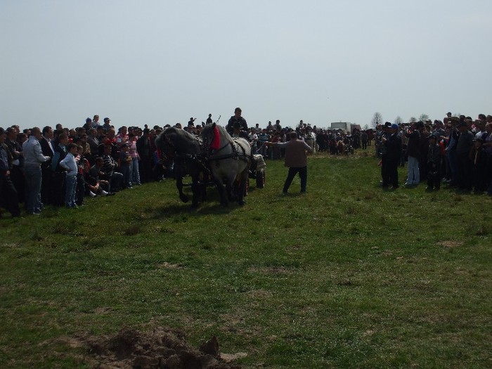 Expo Radauti-1 Mai 2011 047 - Expo Bucovina-1Mai 2011