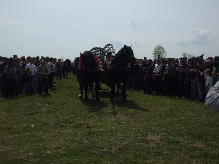 Expo Radauti-1 Mai 2011 058 - Expo Bucovina-1Mai 2011