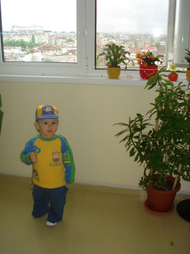 PRIN JUNGLA LUI MEME:)