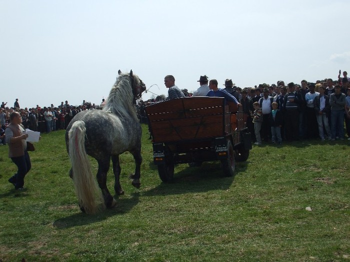 Expo Radauti-1 Mai 2011 045 - Expo Bucovina-1Mai 2011