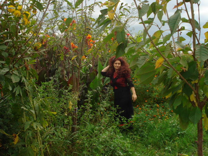 PRIN JUNGLA MAMEI:))