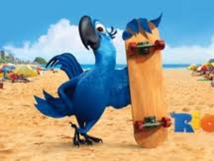 images (70) - filmul de animatie Rio