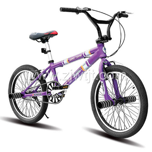 Freestyle-Bike-Bicycle-WTB102001- - biciclete