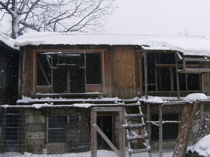 pooozediverse 009 (2)