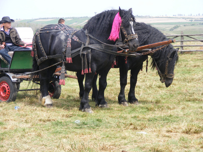 DSCF4622