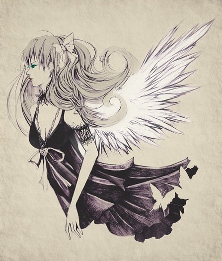 337527 - Anime angels