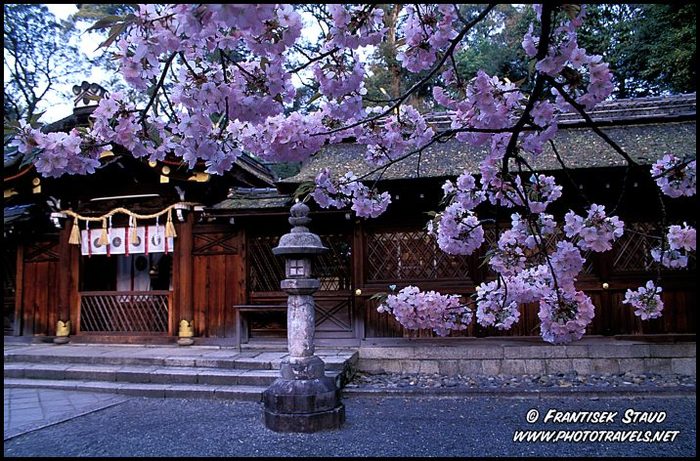 japan-sakura-007_3 - Peisaje din Japonia