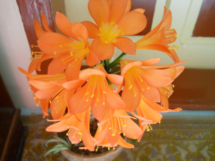 DSCN1097