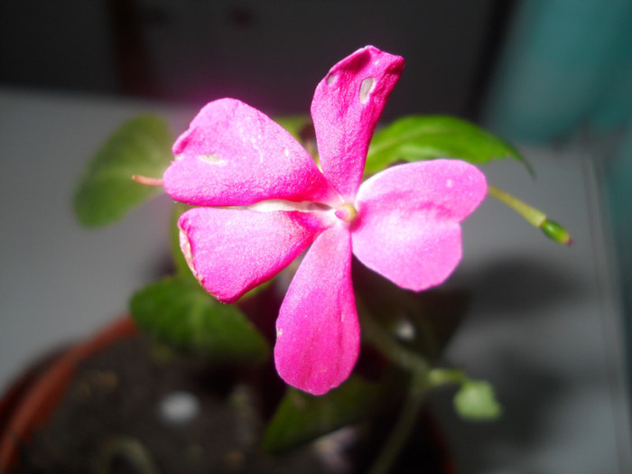 DSCN1118