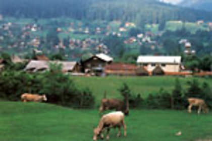 RO_049_t[1] - Romania