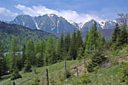 RO_138_t[1] - Romania