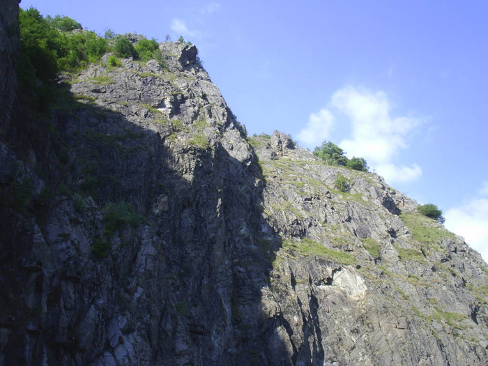 VIDRARU - Dulce  Romanie