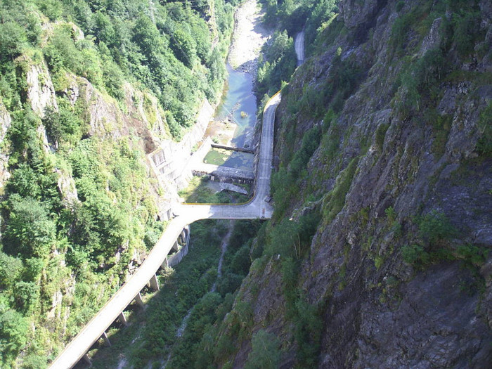 VIDRARU - Dulce  Romanie